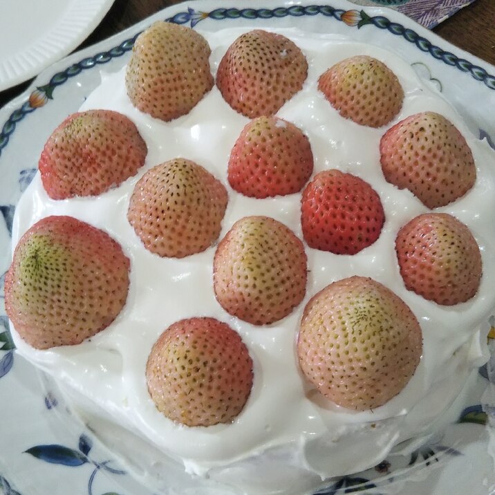 白苺のケーキ レシピ 作り方 By ねこばっか 楽天レシピ 白苺のケーキ レシピ 作り方 By ねこばっか 楽天レシピ